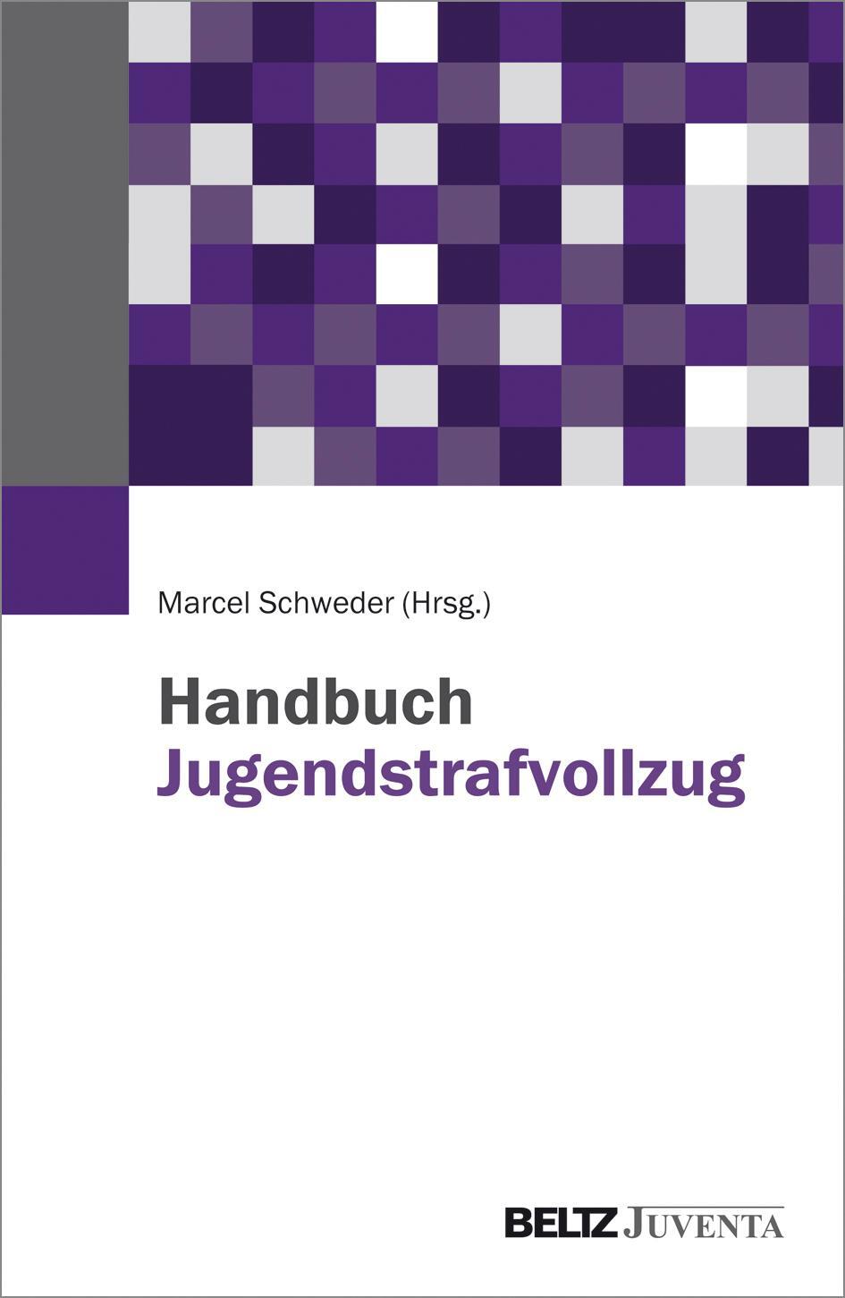 Cover: 9783779931225 | Handbuch Jugendstrafvollzug | Marcel Schweder | Buch | Deutsch | 2015