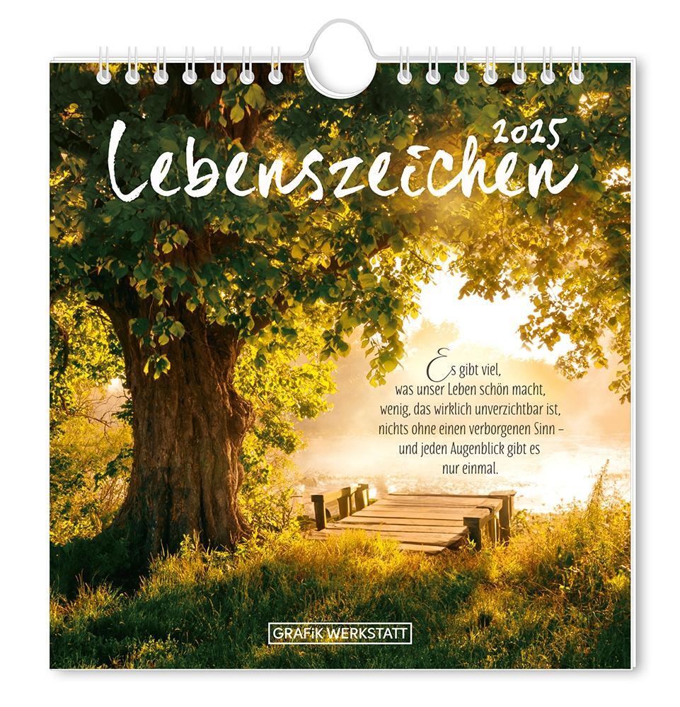 Cover: 9783986361181 | Postkartenkalender 2025 Lebenszeichen | Postkartenkalender | Original
