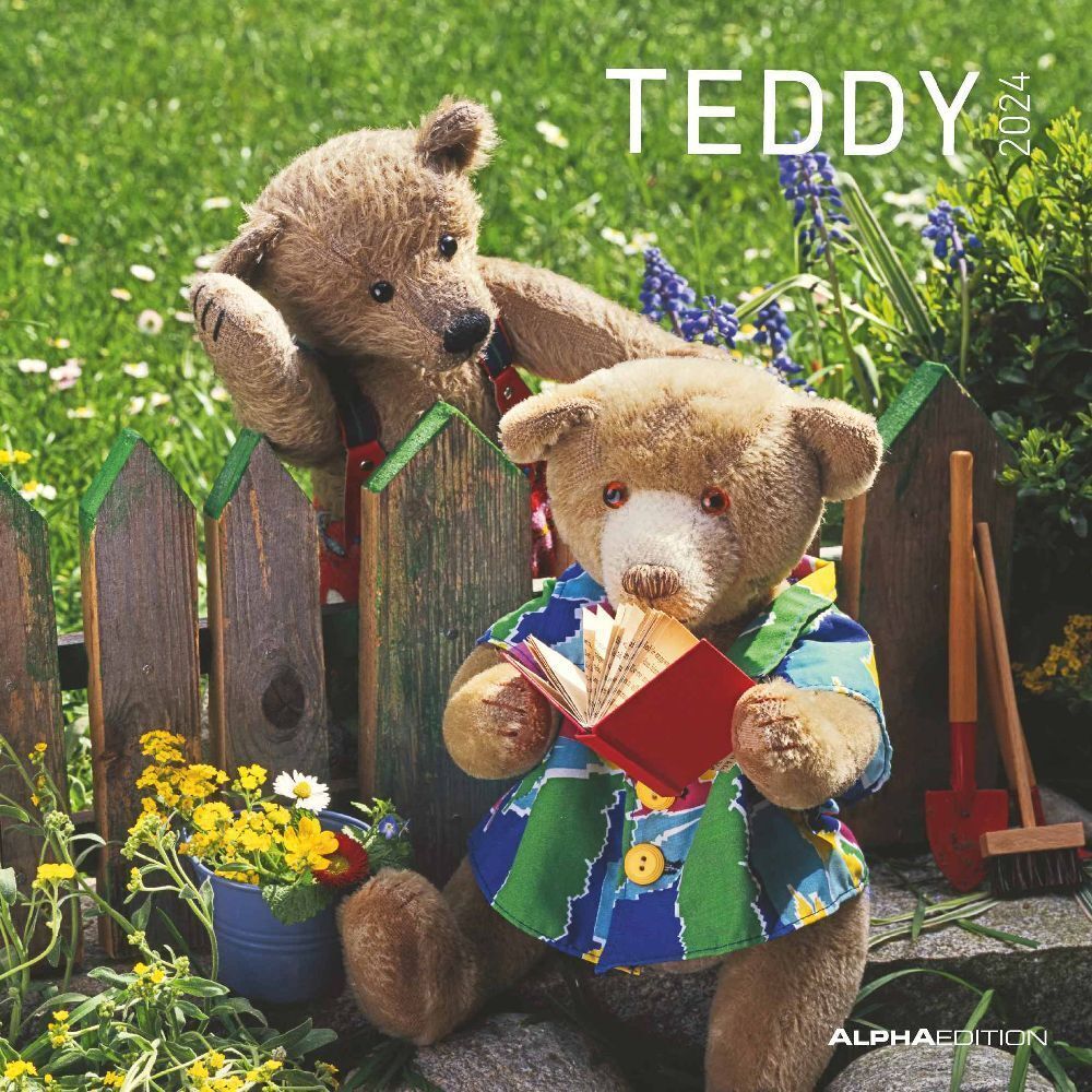 Cover: 4251732335298 | Teddy 2024 - Broschürenkalender 30x30 cm (30x60 geöffnet) -...