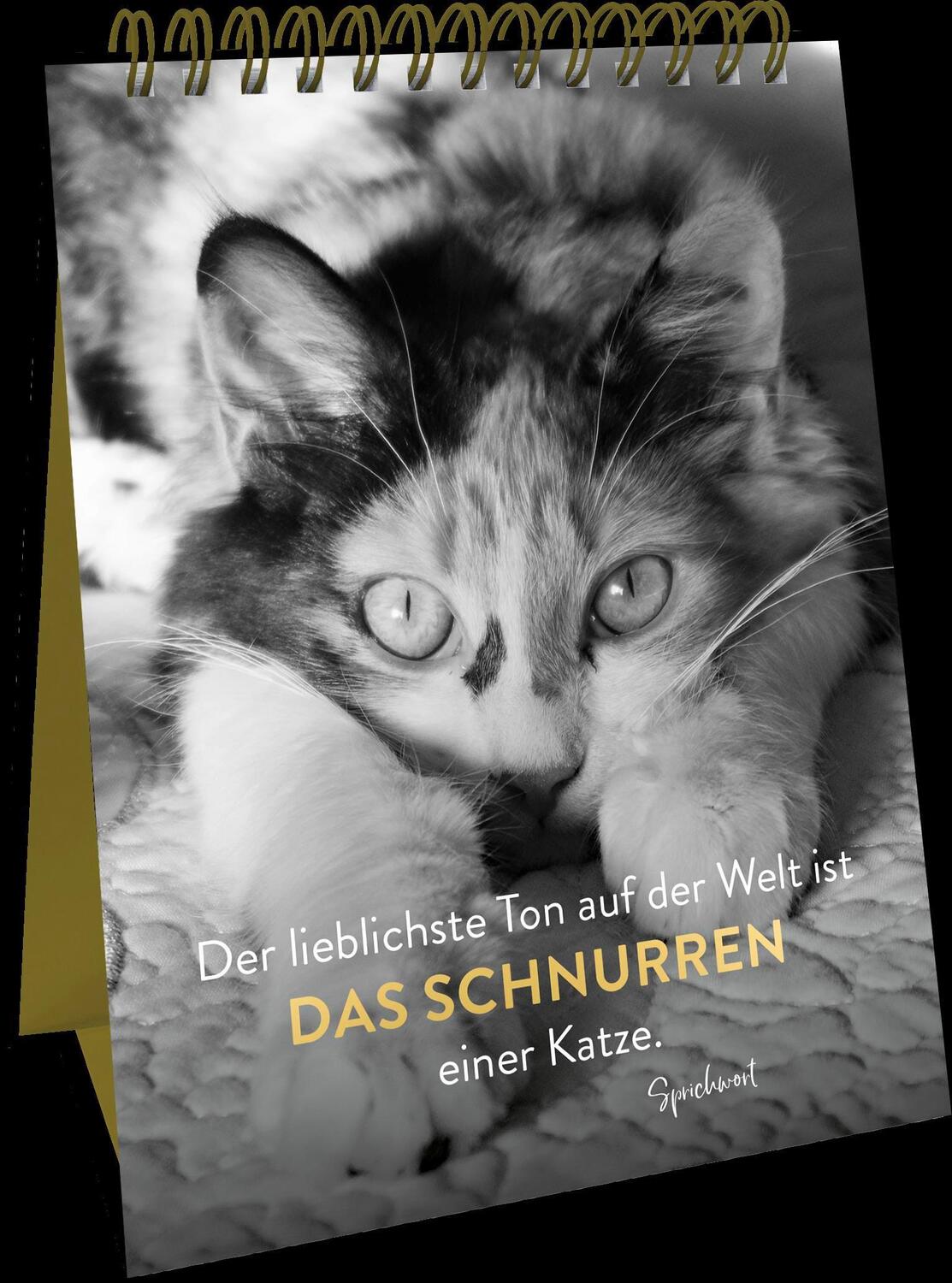 Bild: 9783848501267 | Goldene Katzenweisheiten | Groh Verlag | Taschenbuch | Spiralbindung