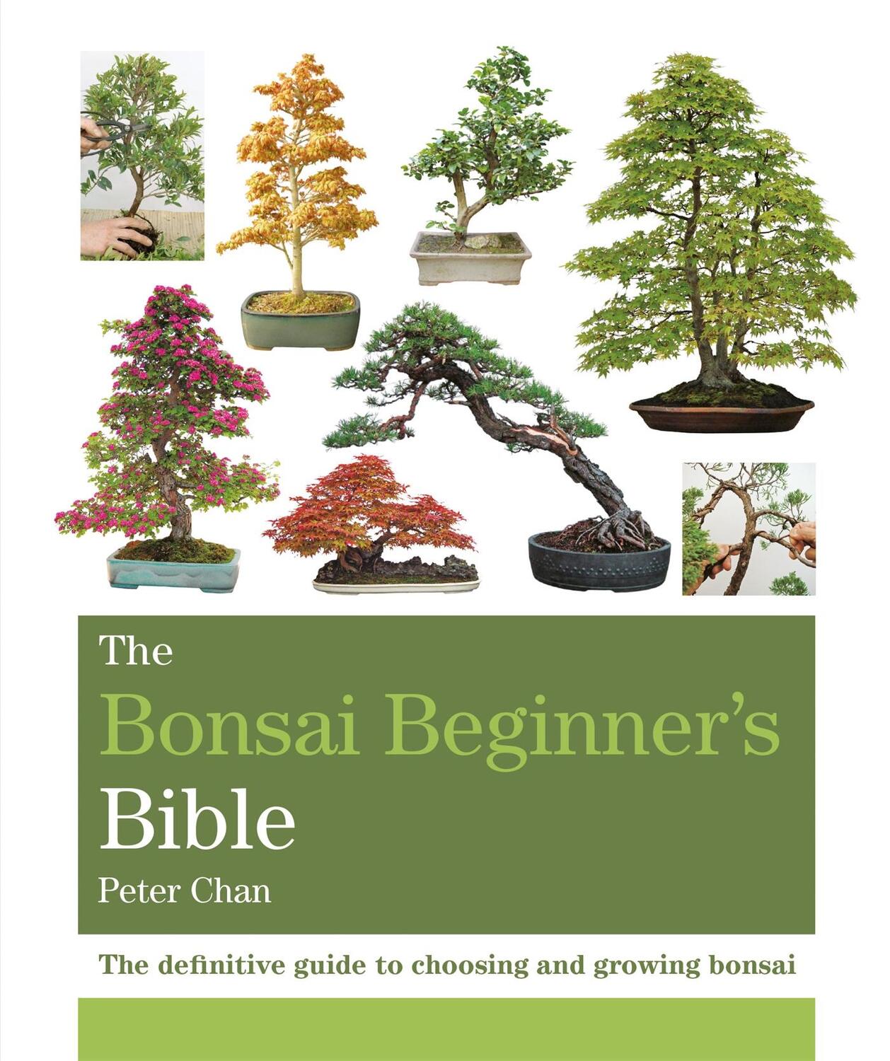 Cover: 9781784723699 | The Bonsai Beginner's Bible | Peter Chan | Taschenbuch | Englisch