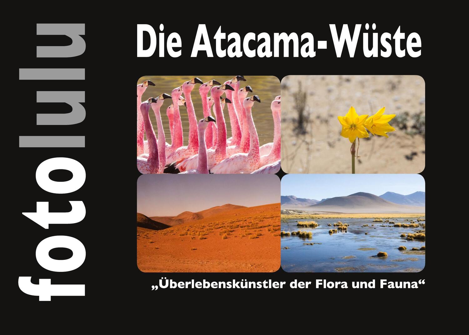 Cover: 9783758303364 | Die Atacama-Wüste | Überlebenskünstler der Flora und Fauna | Fotolulu