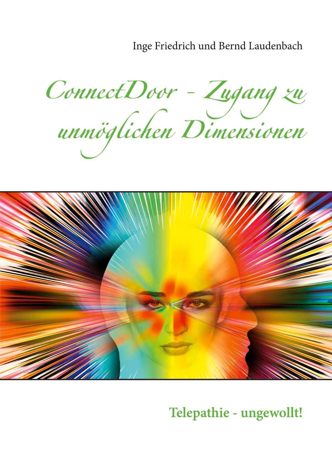 Cover: 9783751978941 | ConnectDoor - Zugang zu unmöglichen Dimensionen | Friedrich (u. a.)