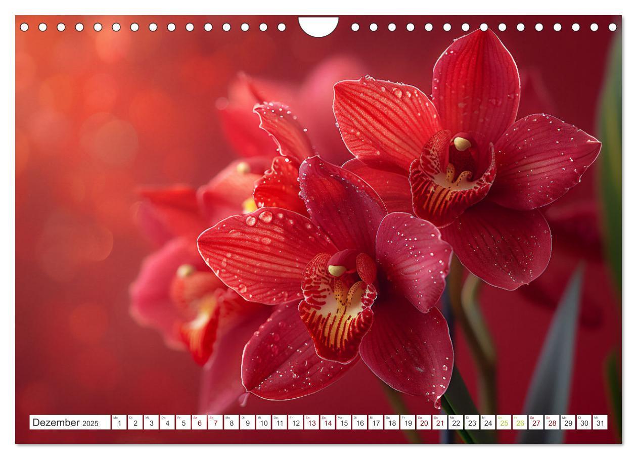 Bild: 9783457165089 | Orchideen - farbenfroh durchs Jahr (Wandkalender 2025 DIN A4 quer),...