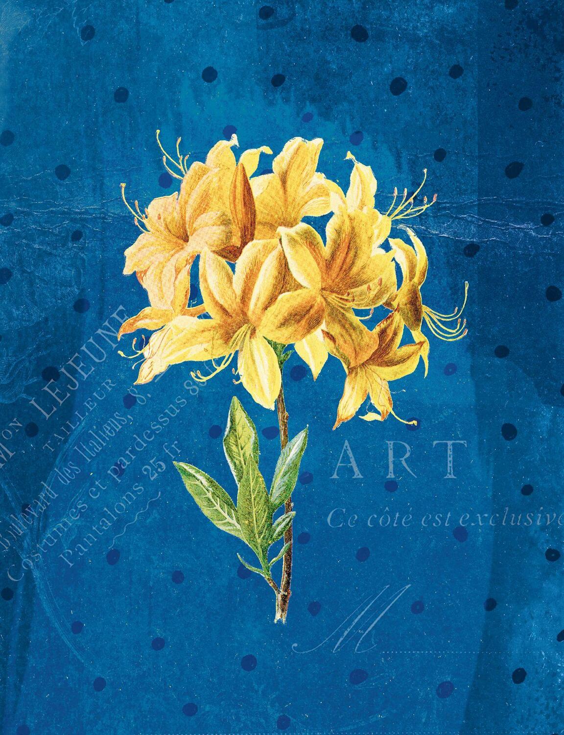 Cover: 4250915934440 | Die Gärten der Künstler Großes Notizheft (A5) Motiv Gelbe Orchidee