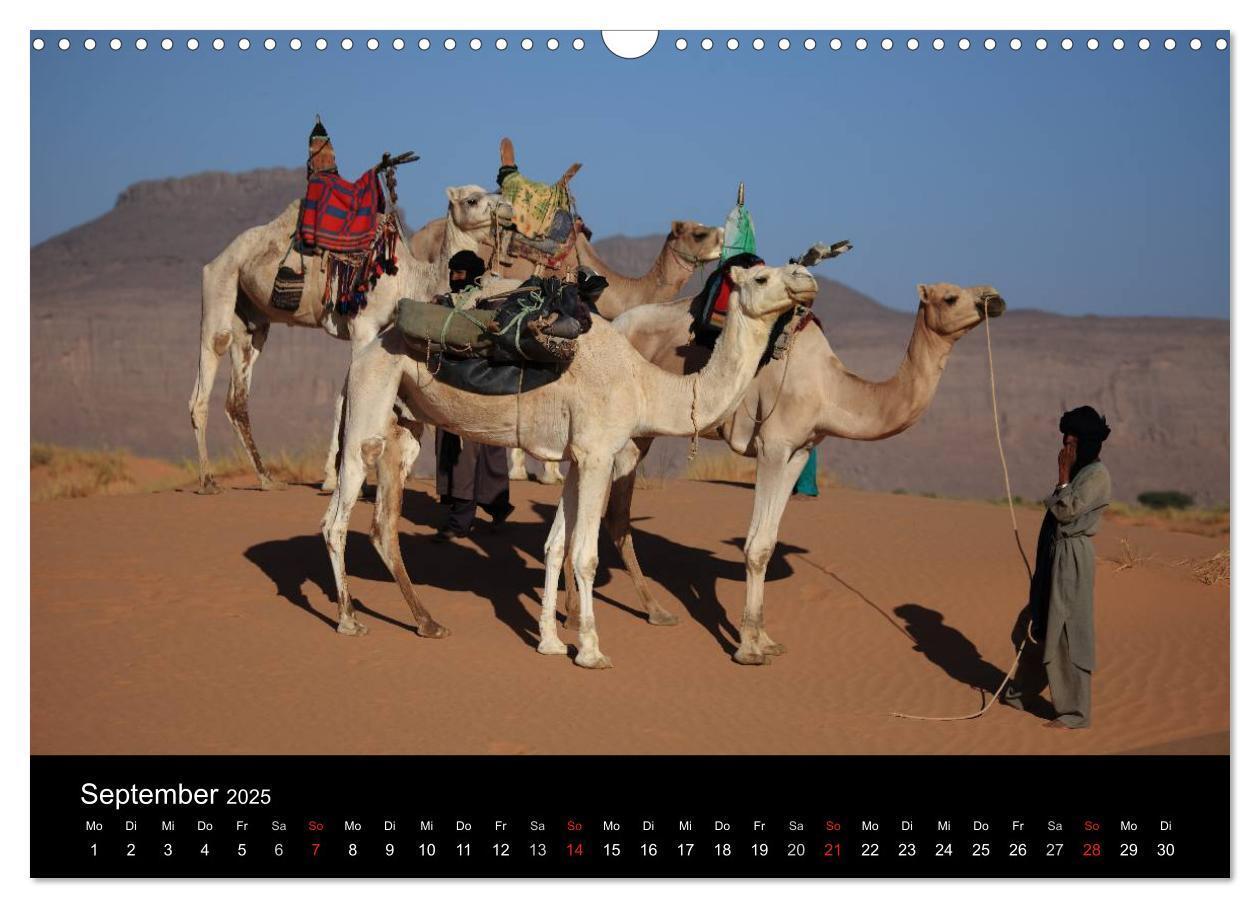 Bild: 9783435760435 | Die Sahara in Algerien (Wandkalender 2025 DIN A3 quer), CALVENDO...