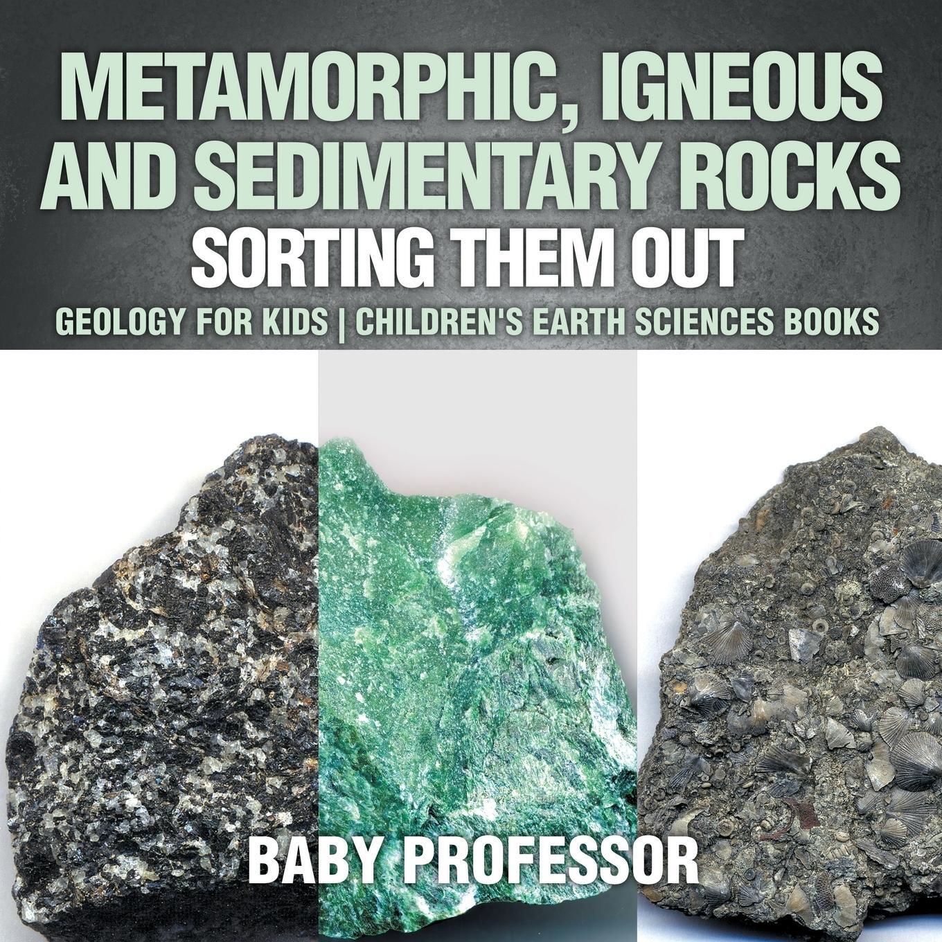Cover: 9781541938267 | Metamorphic, Igneous and Sedimentary Rocks | Baby | Taschenbuch | 2017
