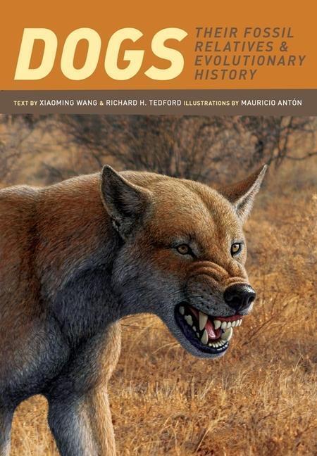 Cover: 9780231135290 | Dogs | Their Fossil Relatives and Evolutionary History | Wang (u. a.)