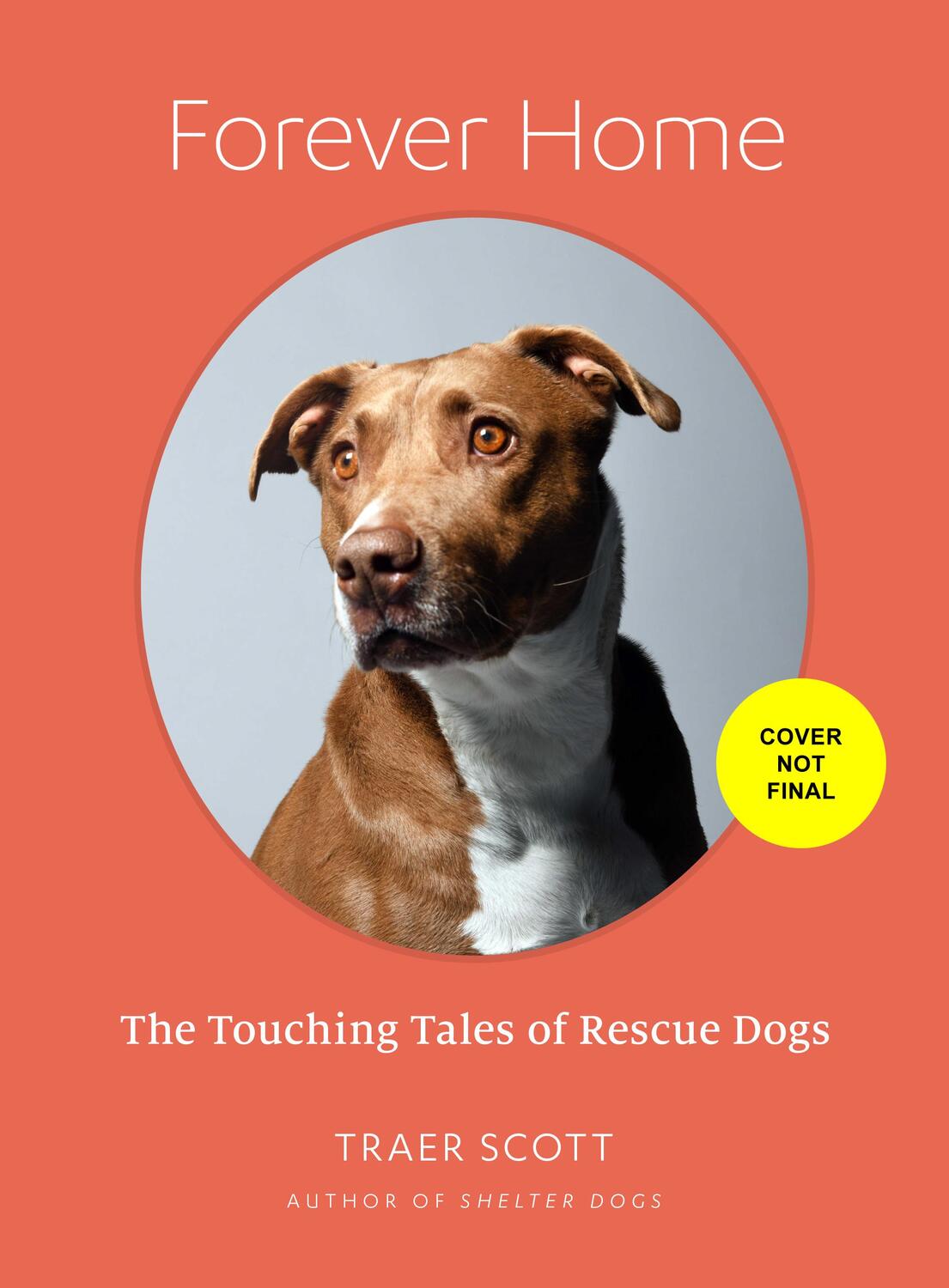 Cover: 9781648960697 | Forever Home | The Inspiring Tales of Rescue Dogs | Traer Scott | Buch