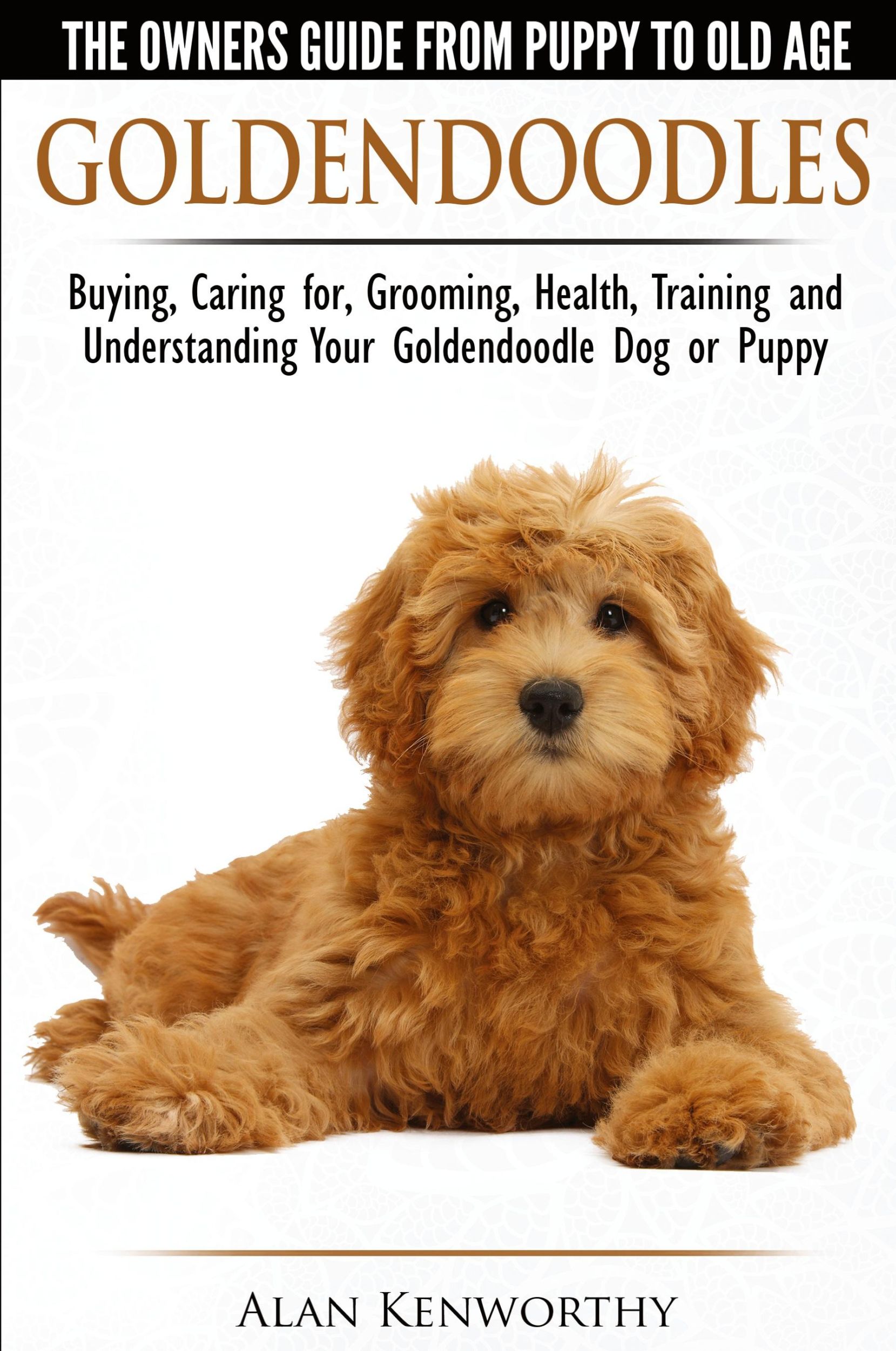 Cover: 9781910677001 | Goldendoodles - The Owners Guide from Puppy to Old Age - Choosing,...