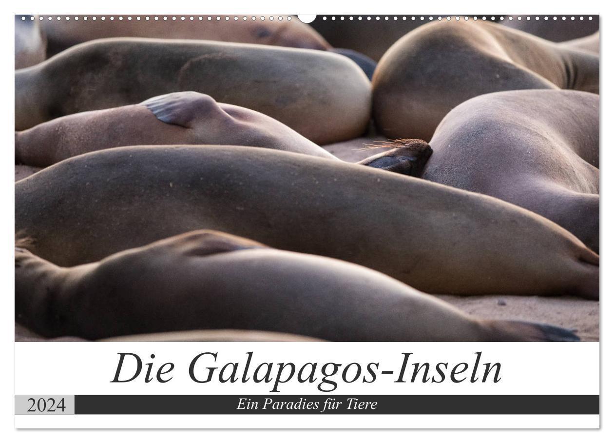 Cover: 9783383115608 | Galapagos-Inseln - Ein Paradies für Tiere (Wandkalender 2024 DIN A2...