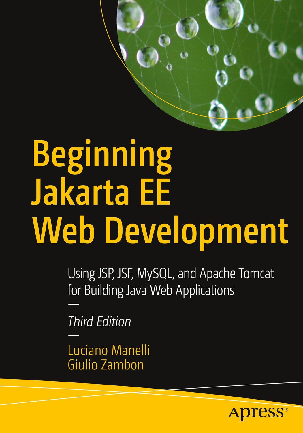 Cover: 9781484258651 | Beginning Jakarta EE Web Development | Giulio Zambon (u. a.) | Buch