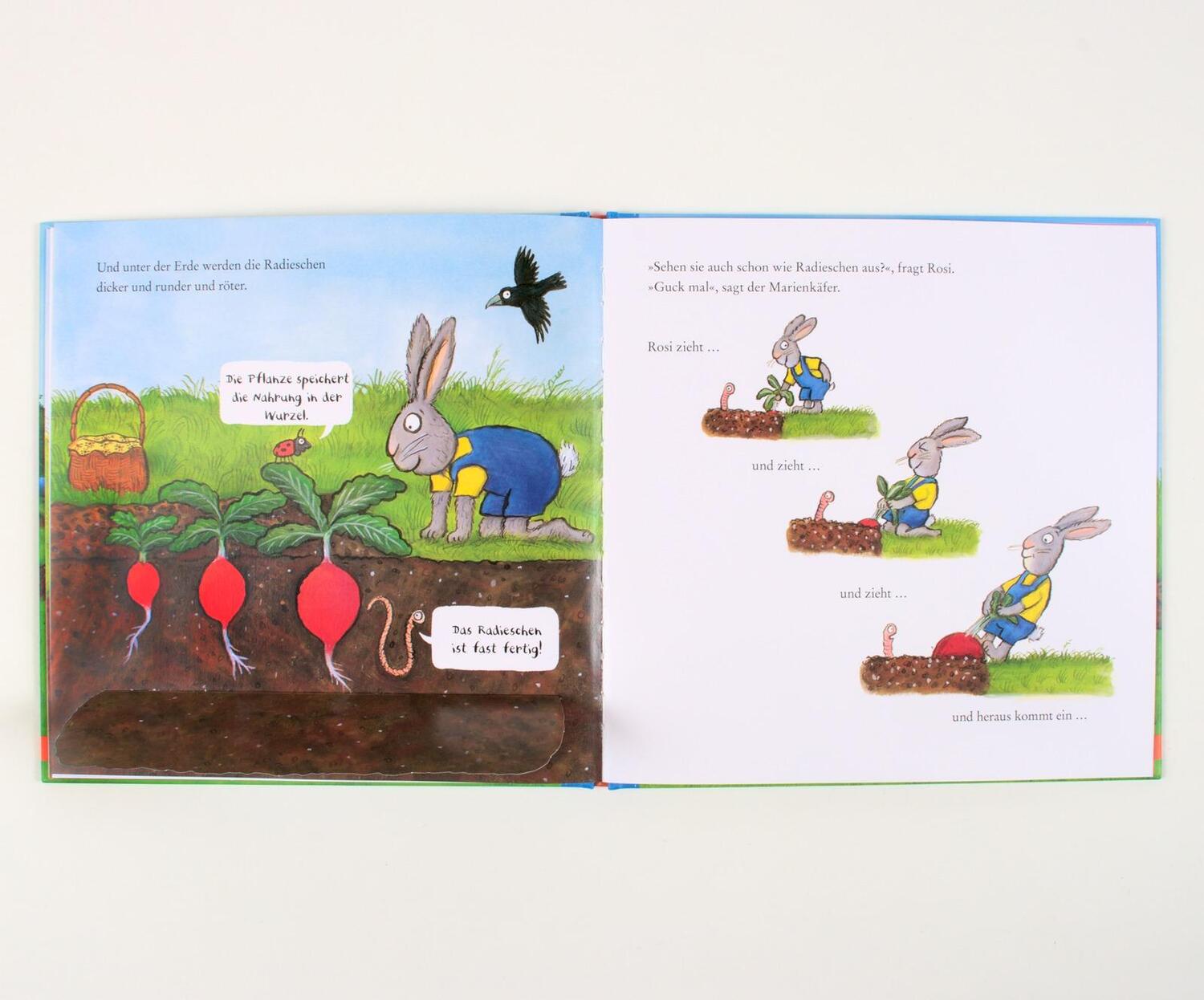 Bild: 9783407758873 | Rosi pflanzt Radieschen | Axel Scheffler | Buch | 16 S. | Deutsch