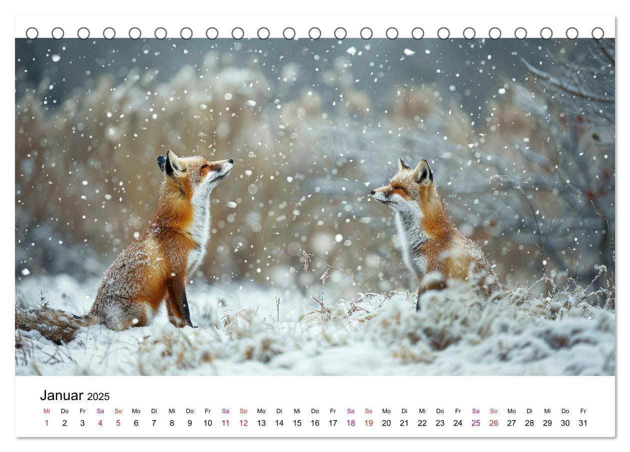 Bild: 9783383815324 | Fuchs - schöne Momente (Tischkalender 2025 DIN A5 quer), CALVENDO...