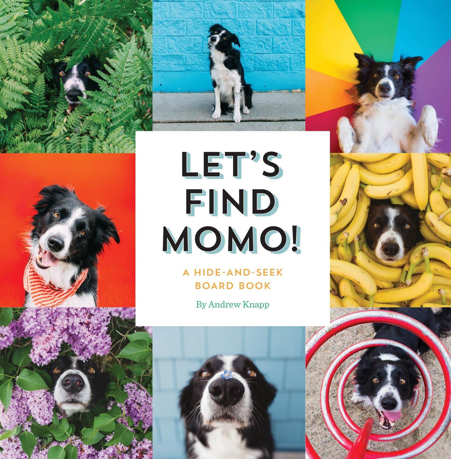 Cover: 9781594749582 | Let's Find Momo! | A Hide-And-Seek Board Book | Andrew Knapp | Buch