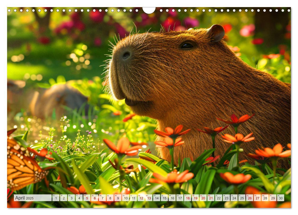 Bild: 9783457163955 | Capybaras im Alltag - Ein Jahr voller Abenteuer (Wandkalender 2025...