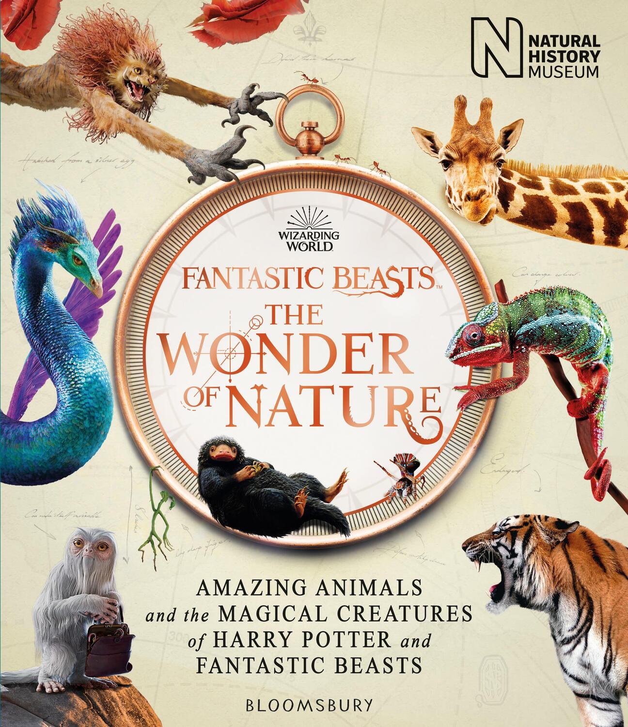 Cover: 9781526624048 | Fantastic Beasts: The Wonder of Nature | Taschenbuch | Paperback