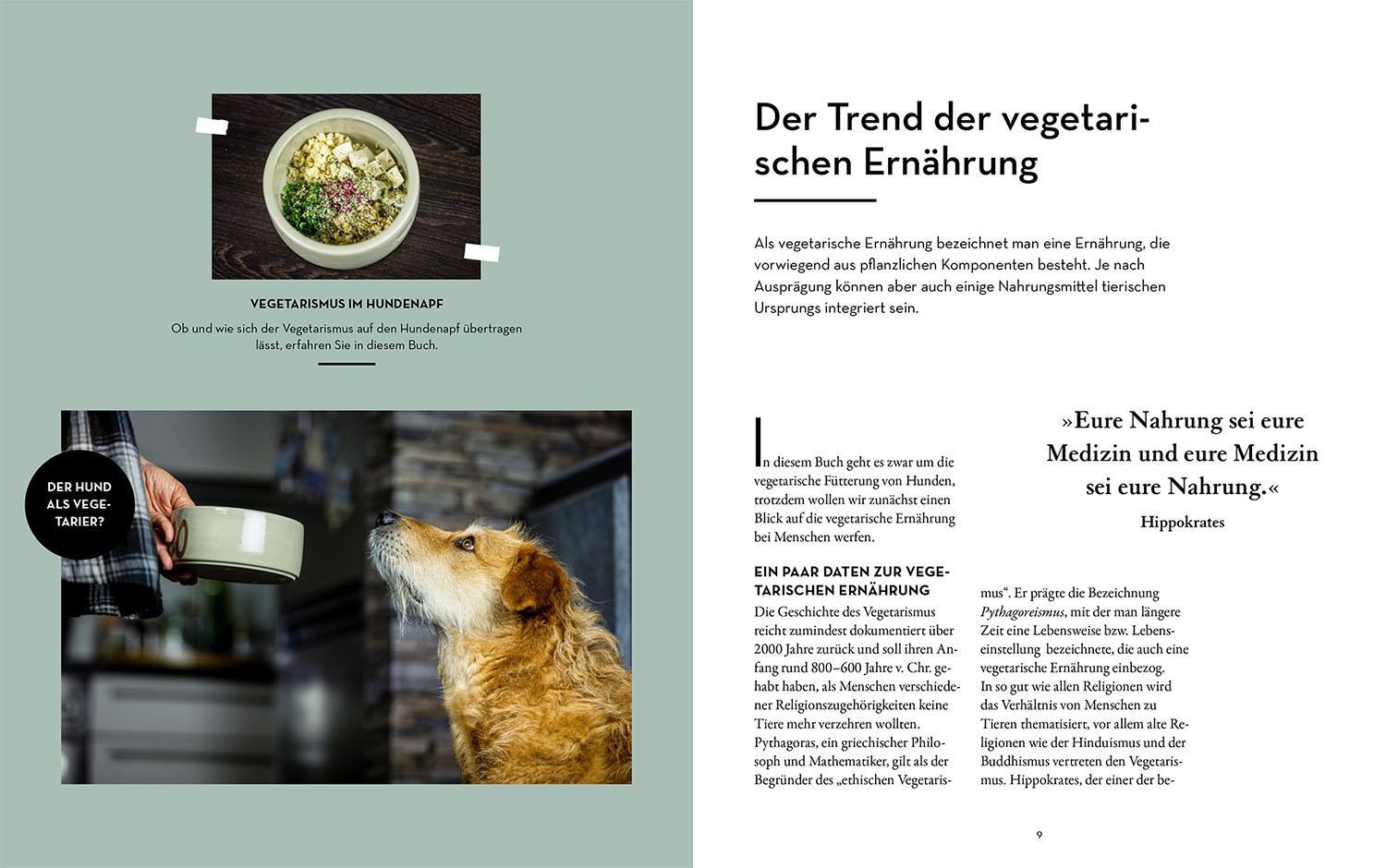 Bild: 9783440174791 | Veggie Feeding | Anke Jobi | Taschenbuch | 104 S. | Deutsch | 2023