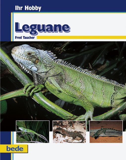 Cover: 9783933646187 | Ihr Hobby Leguane | Fred Taucher | Buch | 96 S. | Deutsch | 2009