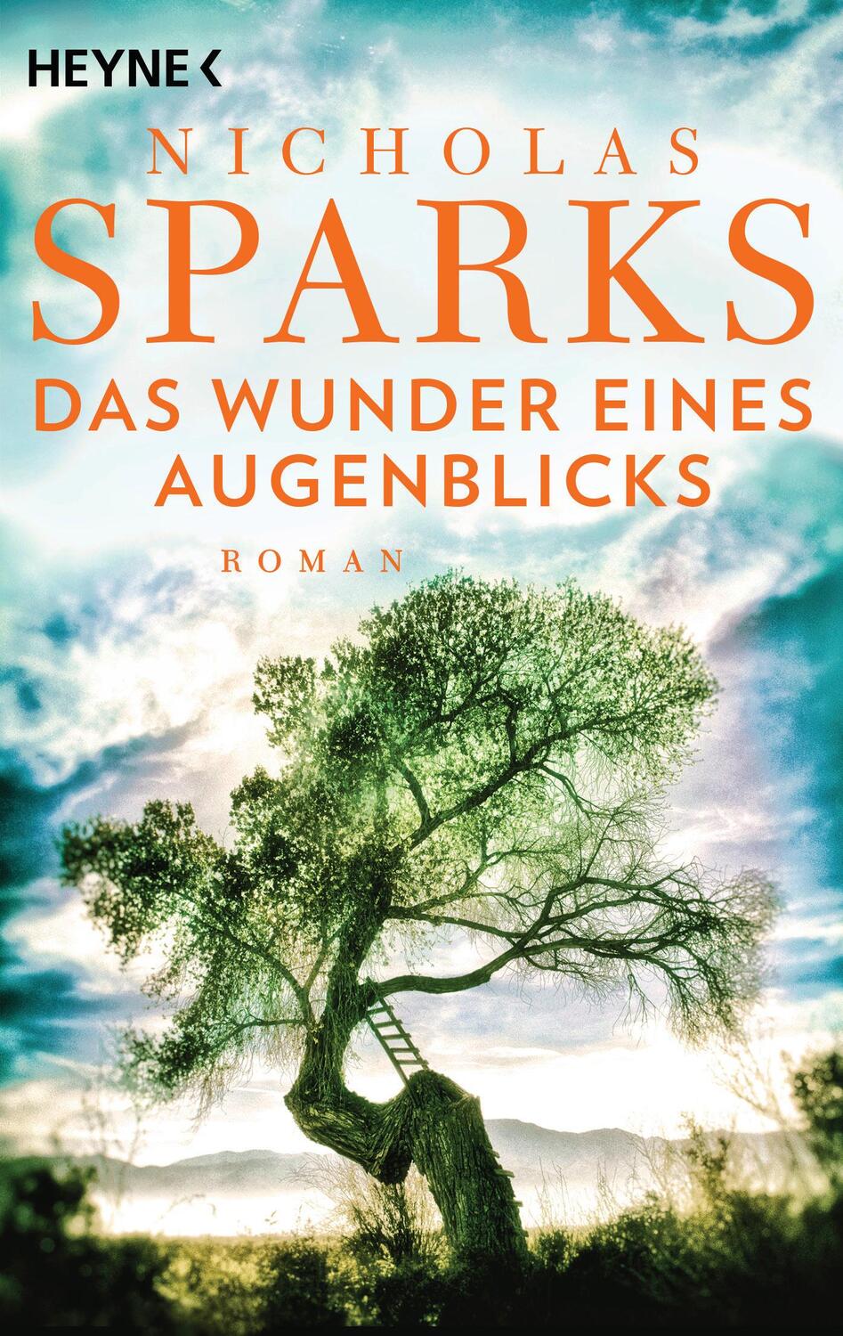 Cover: 9783453423930 | Das Wunder eines Augenblicks | Roman | Nicholas Sparks | Taschenbuch