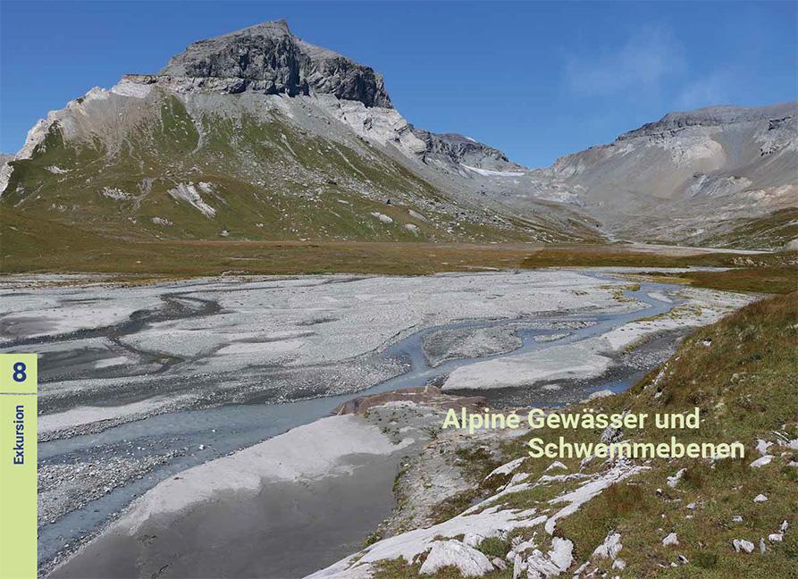 Bild: 9783258083681 | Biodiversität zwischen Wasser und Land | Florian Altermatt (u. a.)