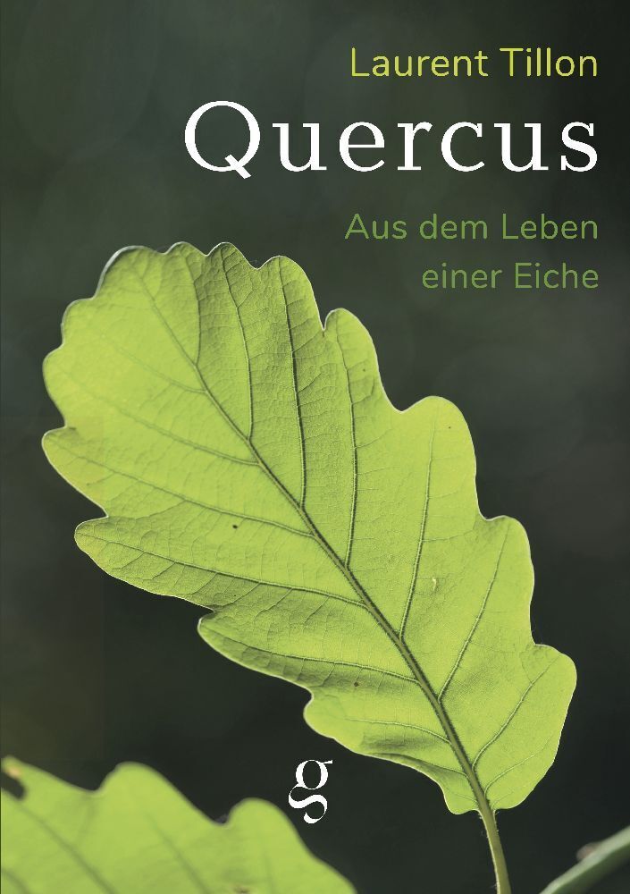 Cover: 9783907320129 | Quercus - Aus dem Leben einer Eiche | Essay | Tillon Laurent | Buch