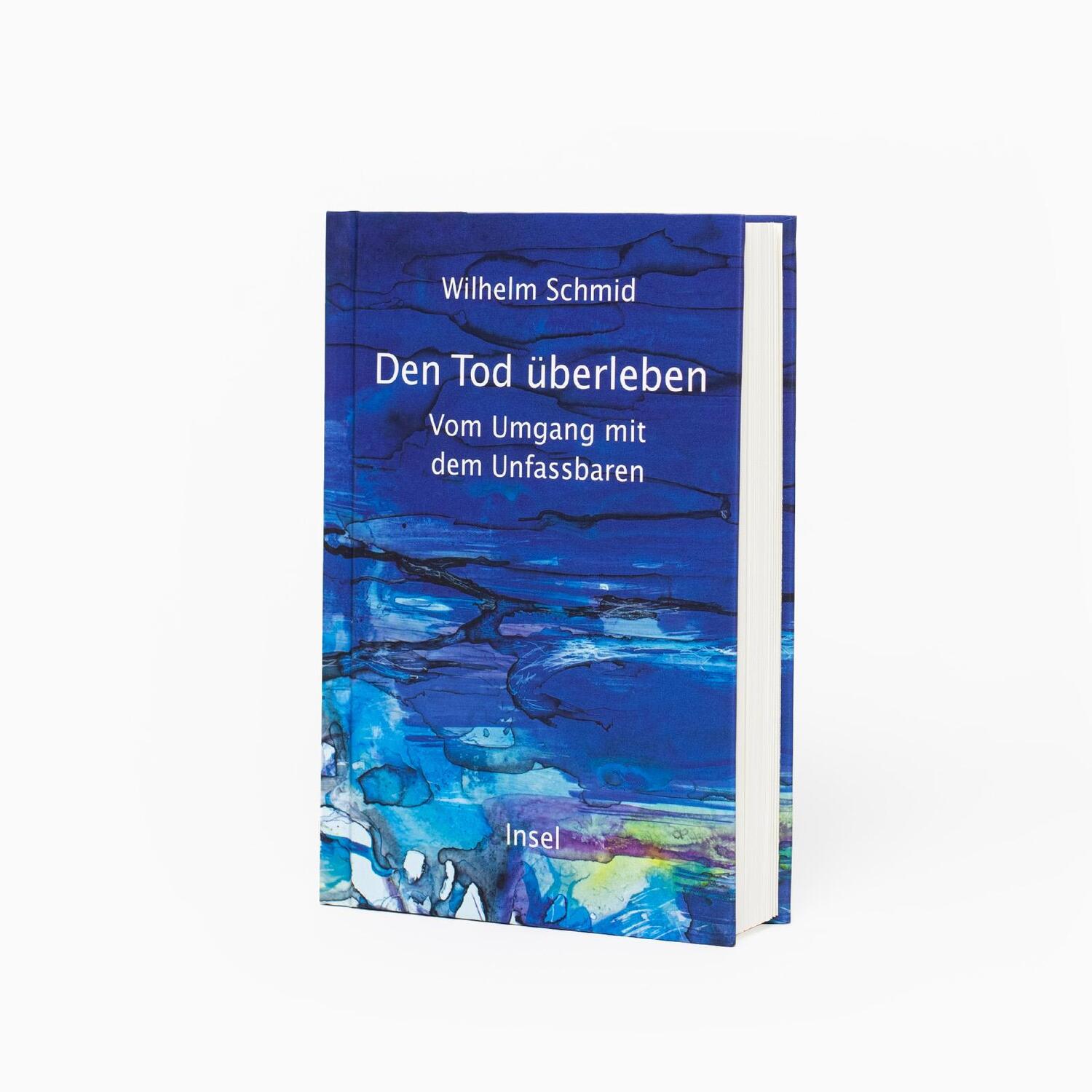 Bild: 9783458644231 | Den Tod überleben | Wilhelm Schmid | Buch | 141 S. | Deutsch | 2024