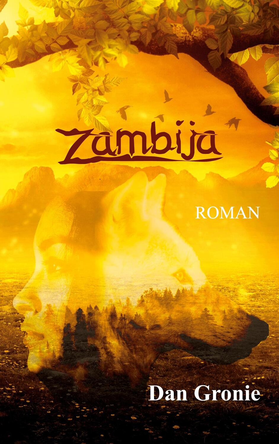 Cover: 9783746025742 | Zambija | Dan Gronie | Taschenbuch | Paperback | 448 S. | Deutsch