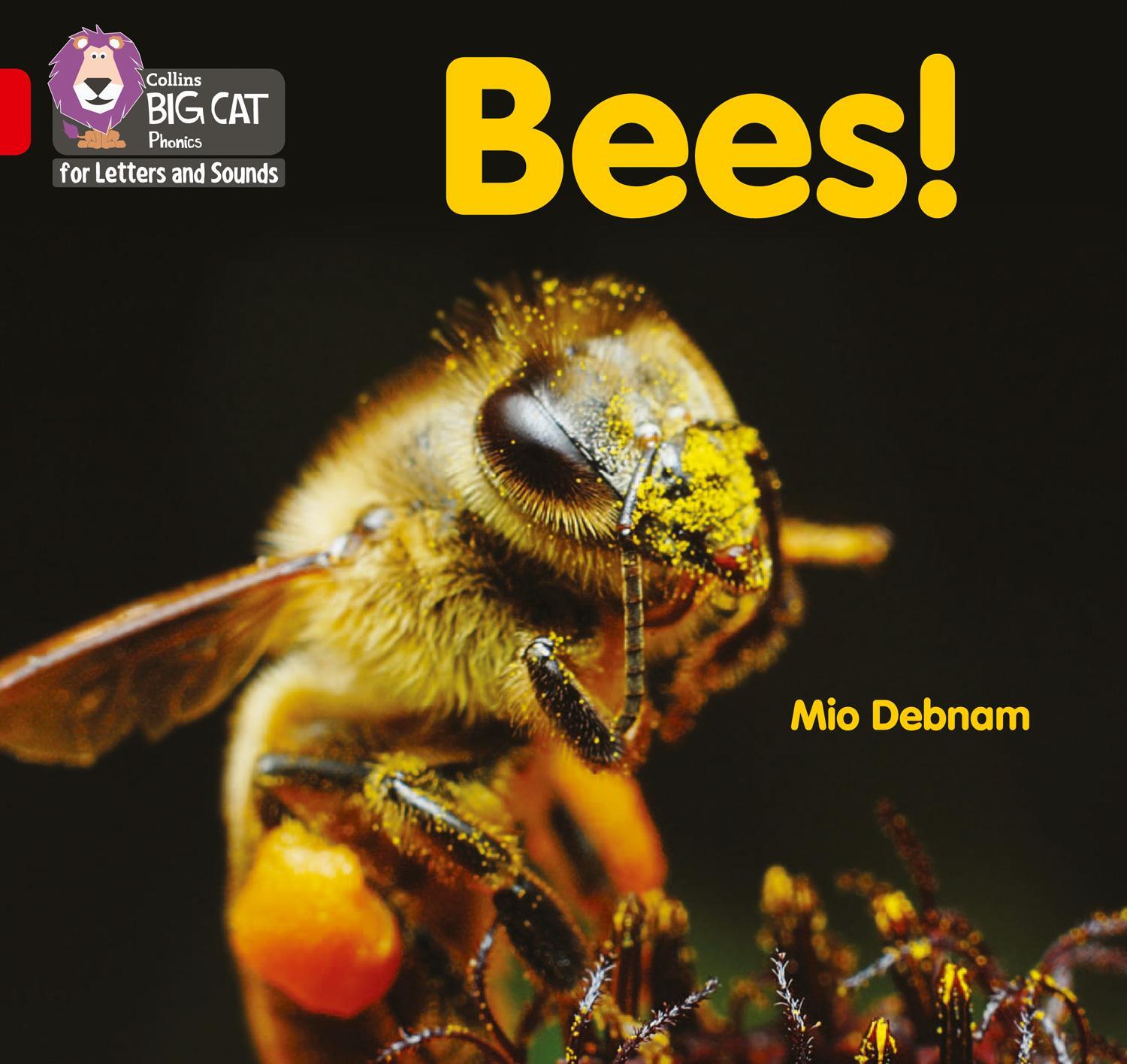 Cover: 9780008442217 | Bees! | Band 02b/Red B | Mio Debnam | Taschenbuch | 2021