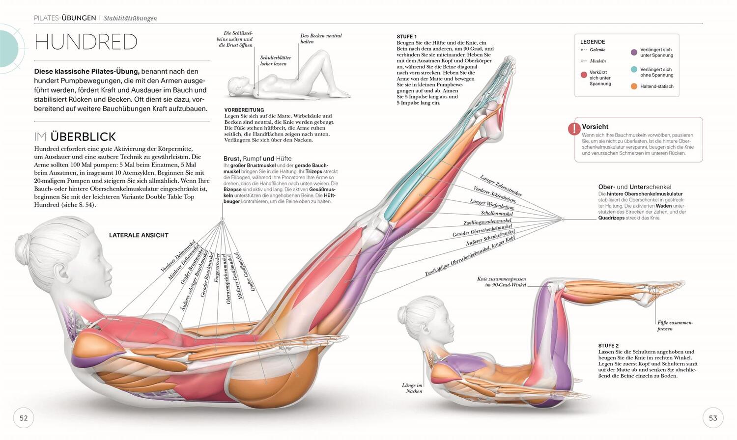 Bild: 9783831046300 | Pilates - Die Anatomie verstehen | Tracy Ward | Taschenbuch | 224 S.