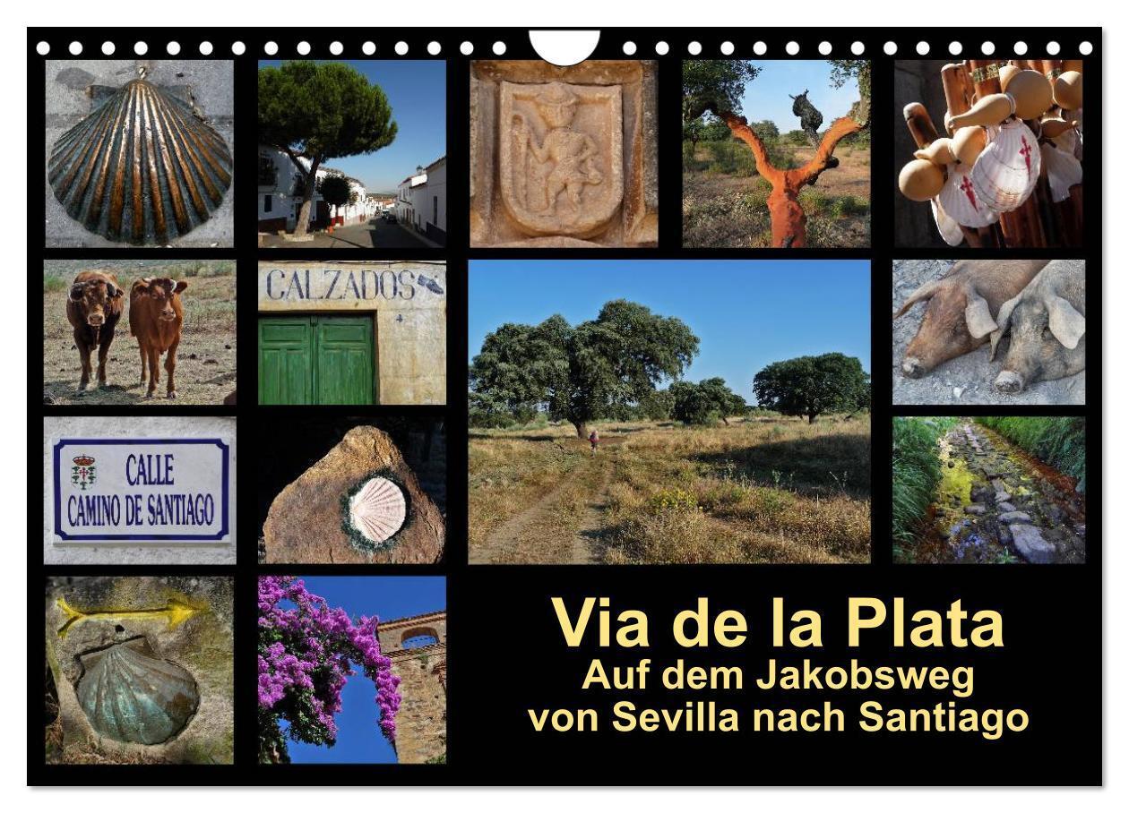 Cover: 9783675770454 | Via de la Plata - auf dem Jakobsweg von Sevilla nach Santiago...