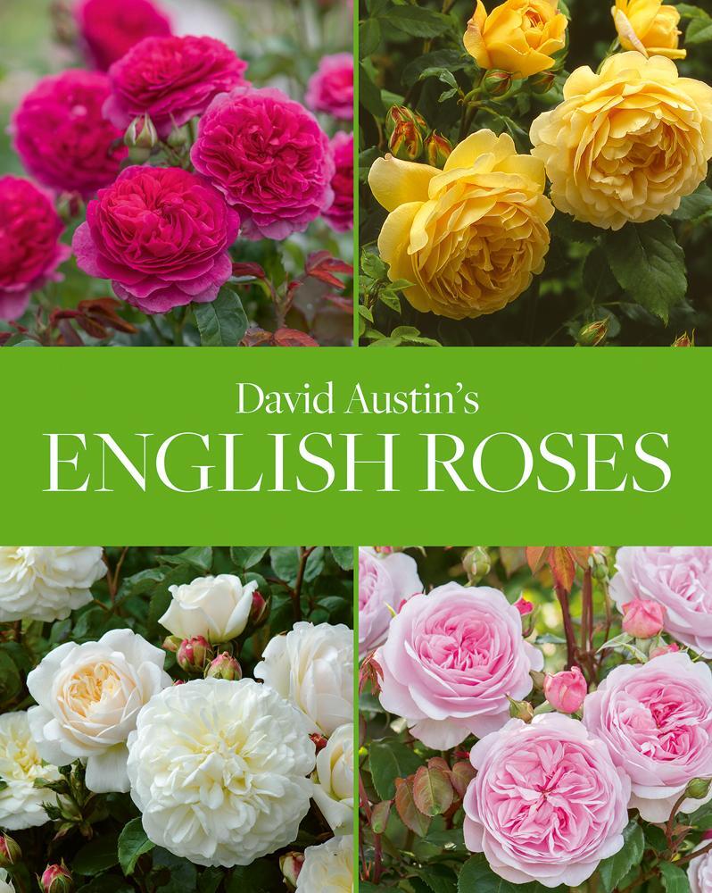 Cover: 9781788840194 | David Austin's English Roses | David Austin | Buch | Gebunden | 2020