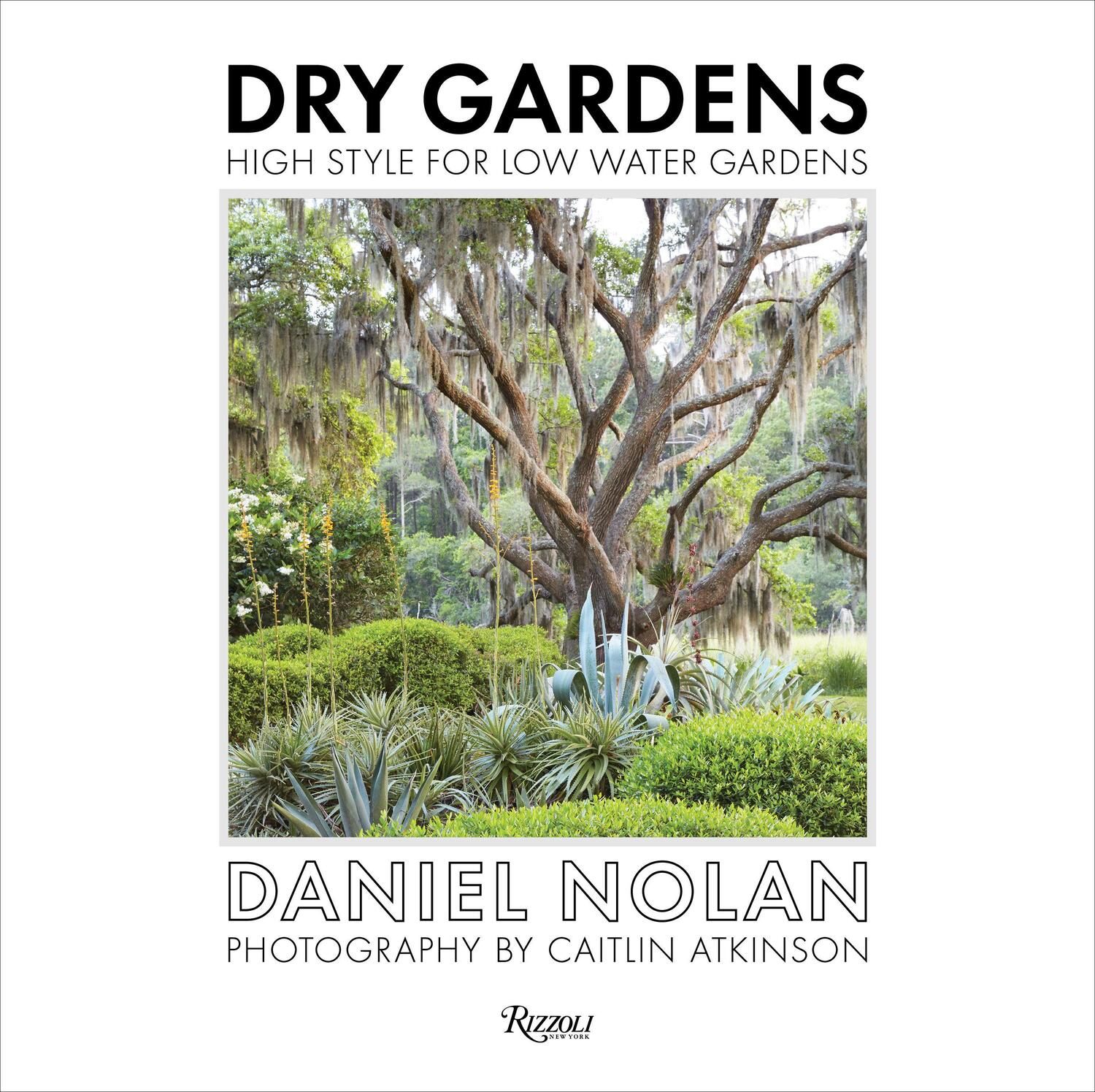Cover: 9780847861262 | Dry Gardens | High Style for Low Water Gardens | Daniel Nolan (u. a.)