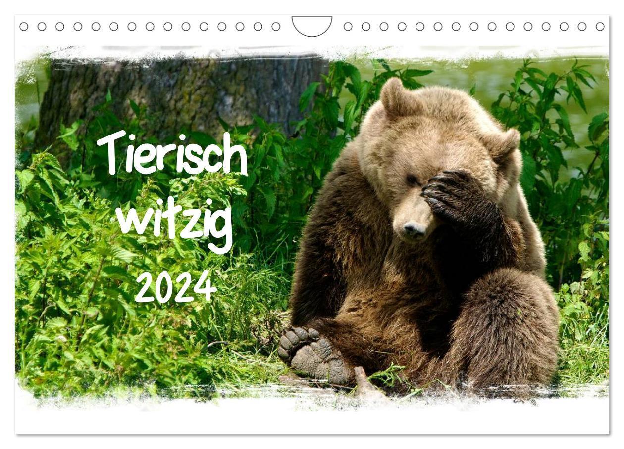 Cover: 9783383393792 | Tierisch witzig (Wandkalender 2024 DIN A4 quer), CALVENDO...