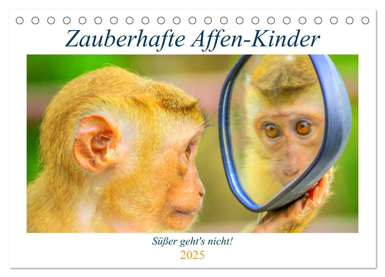 Cover: 9783435177547 | Zauberhafte Affenkinder. Süßer geht´s nicht! (Tischkalender 2025...