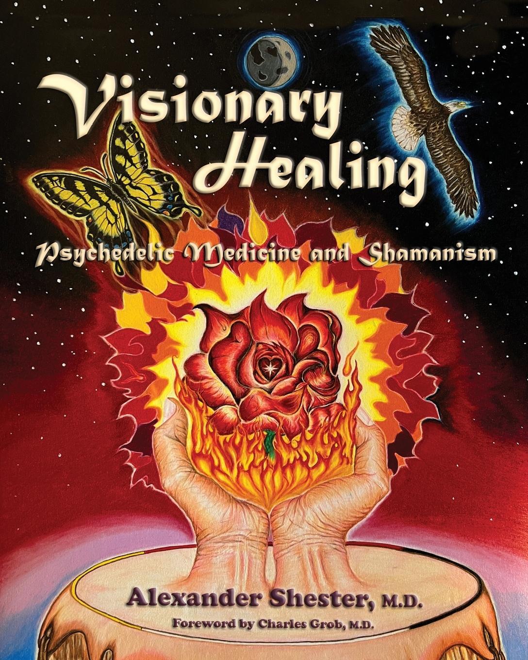 Cover: 9781587906343 | VISIONARY HEALING Psychedelic Medicine and Shamanism | Shester | Buch