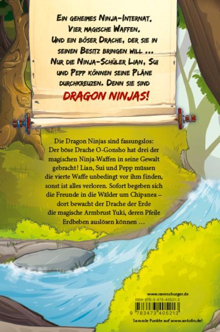Bild: 9783473405213 | Dragon Ninjas, Band 4: Der Drache der Erde | Michael Petrowitz | Buch