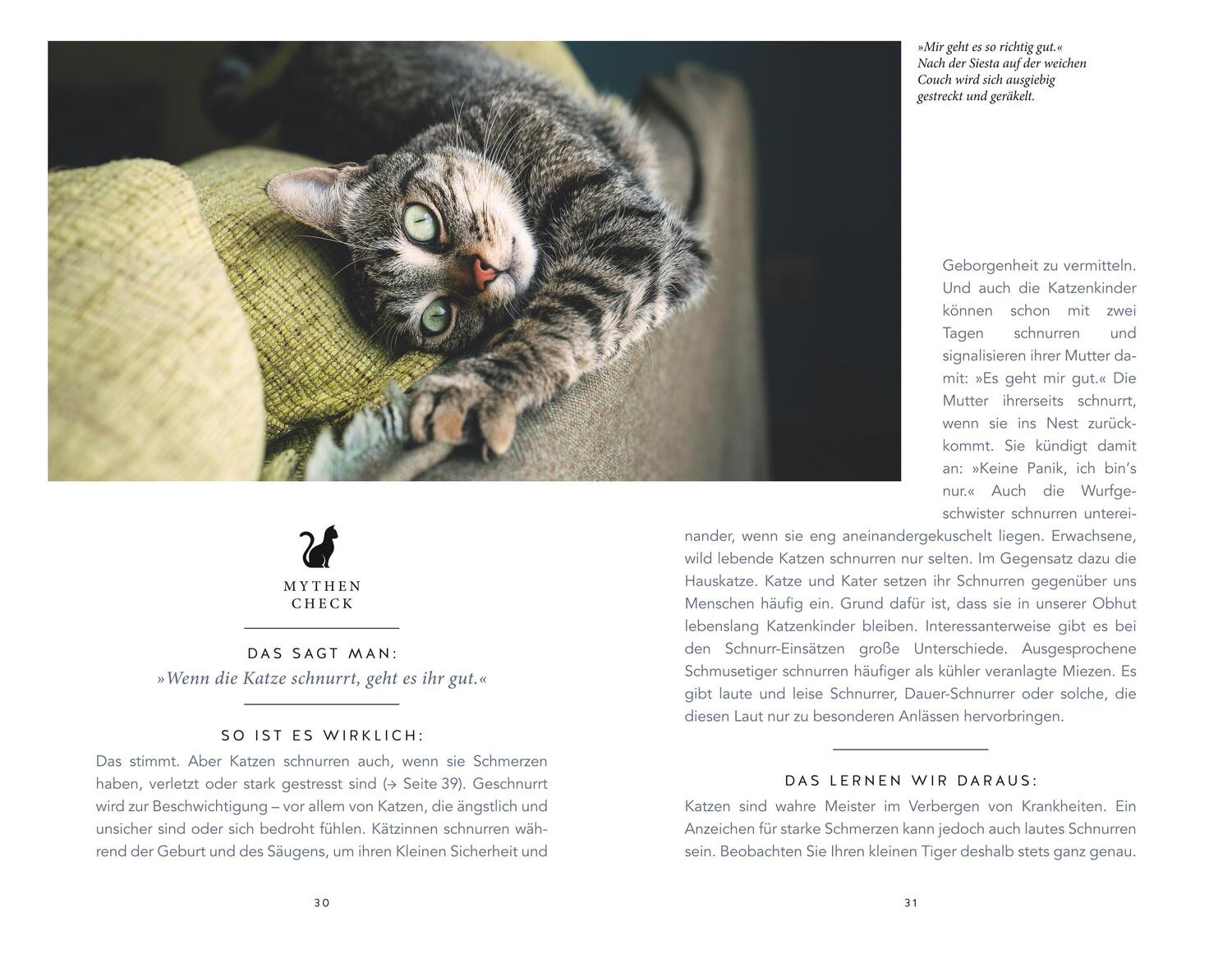Bild: 9783833871252 | Die unglaublichen Fähigkeiten der Katze | Gabriele Linke-Grün | Buch