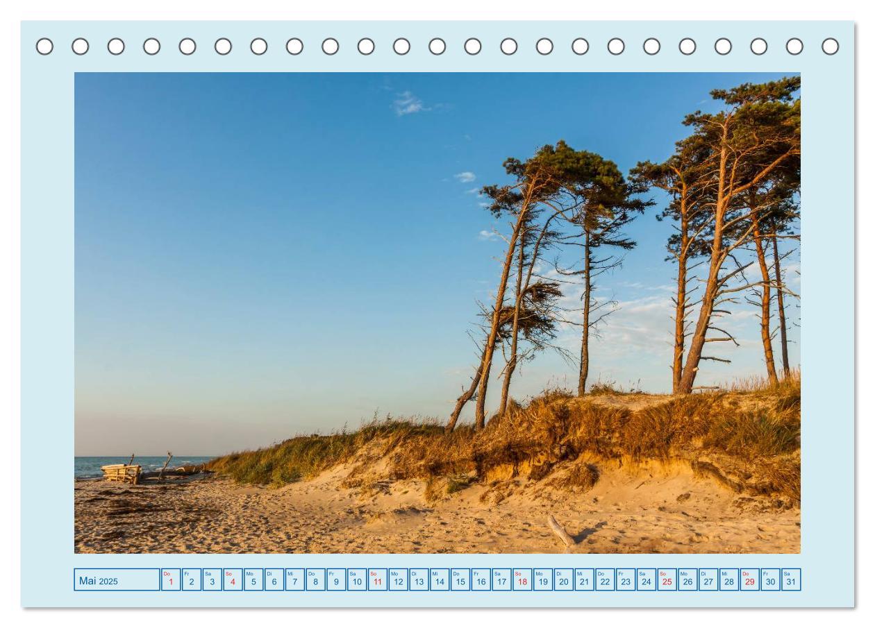 Bild: 9783435616138 | Fischland-Darß-Zingst (Tischkalender 2025 DIN A5 quer), CALVENDO...