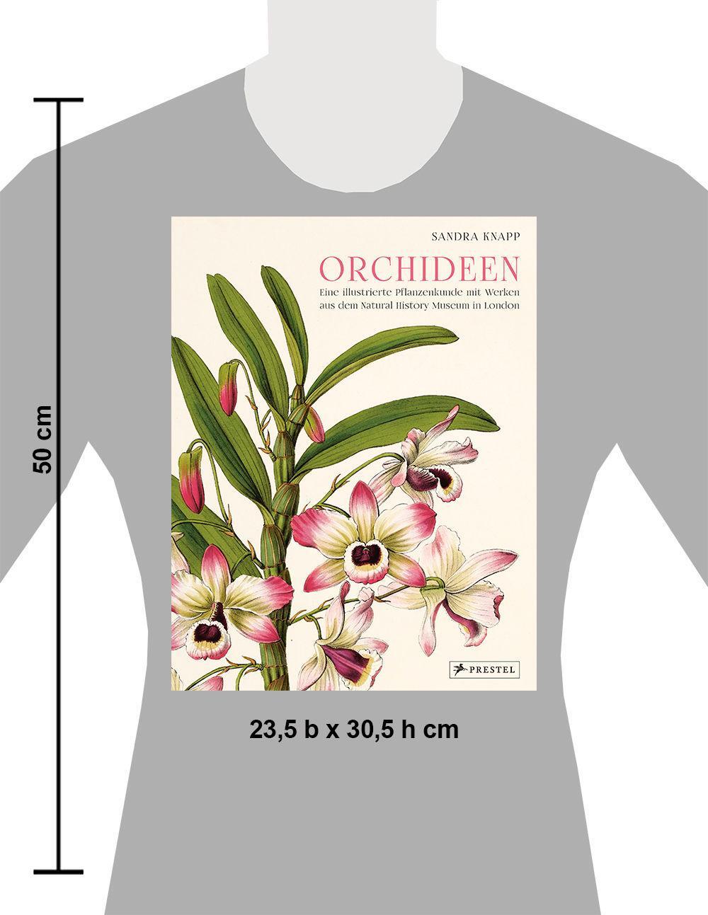 Bild: 9783791388632 | Orchideen | Sandra Knapp | Buch | 160 S. | Deutsch | 2022 | Prestel