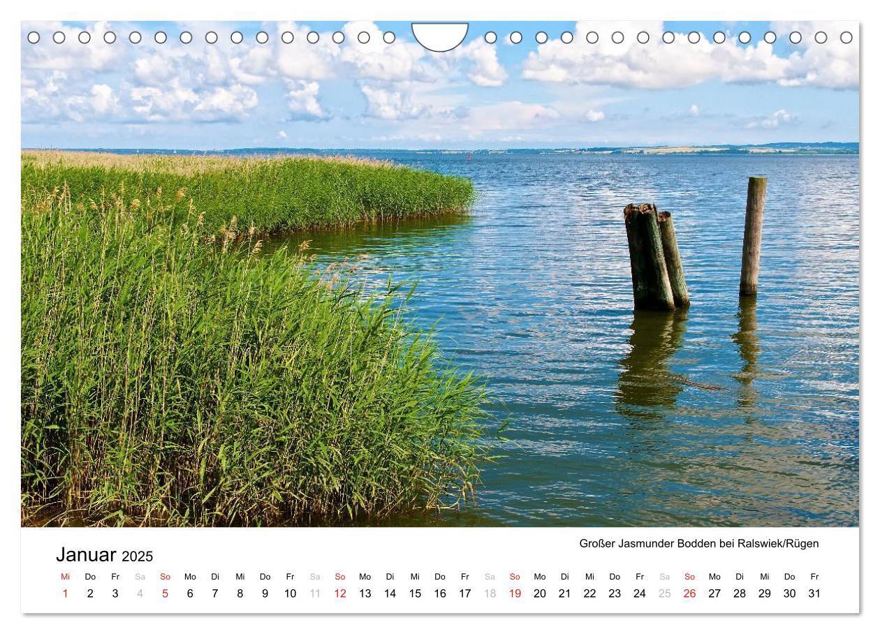 Bild: 9783435693924 | Rügen und Hiddensee (Wandkalender 2025 DIN A4 quer), CALVENDO...