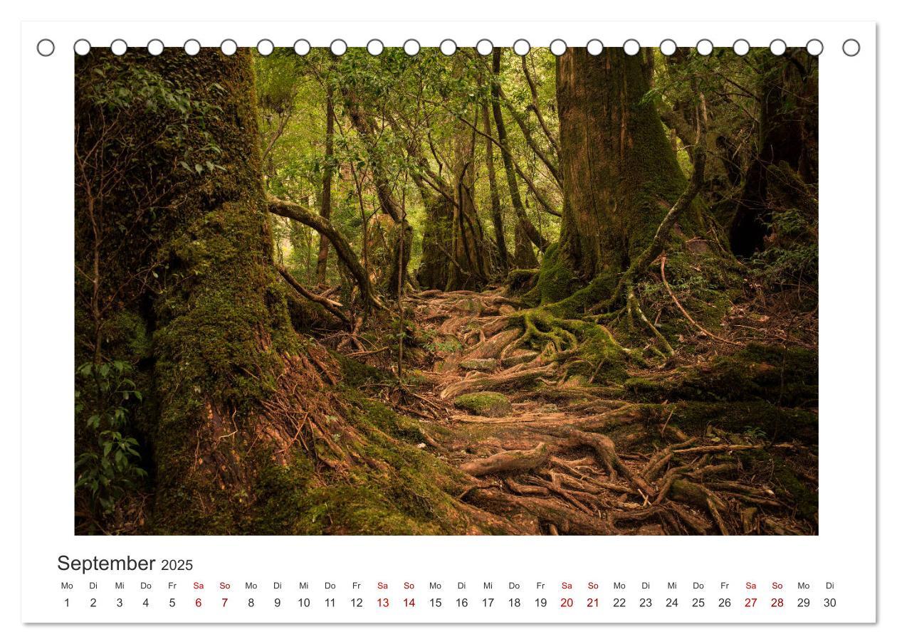 Bild: 9783435343799 | Yakushima - Japans Weltnaturerbe (Tischkalender 2025 DIN A5 quer),...