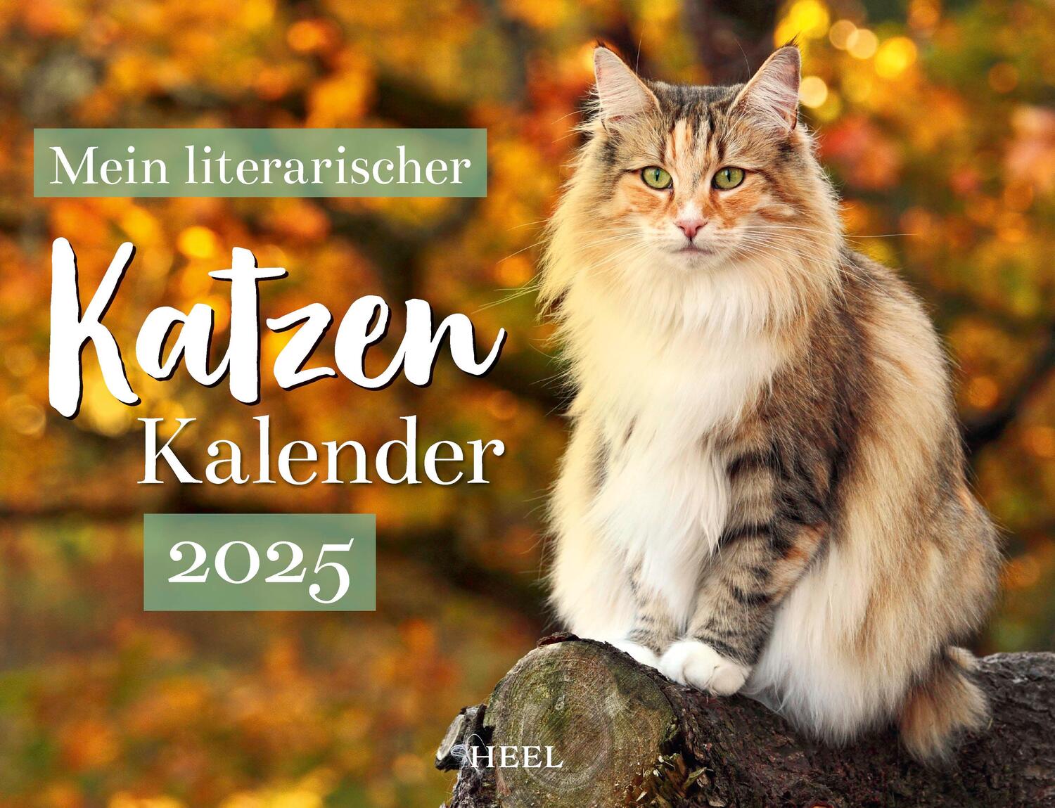 Cover: 9783966648561 | Mein Literarischer Katzenkalender 2025 | Kalender | 14 S. | Deutsch