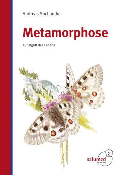 Cover: 9783928914369 | Metamorphose | Kunstgriff des Lebens | Andreas Suchantke | Buch | 2019