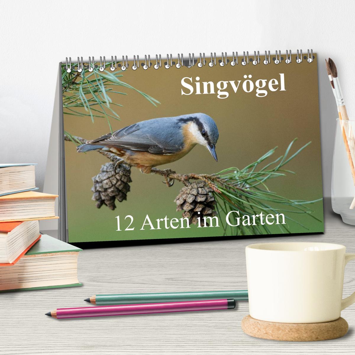 Bild: 9783435458363 | Singvögel - 12 Arten im Garten (Tischkalender 2025 DIN A5 quer),...