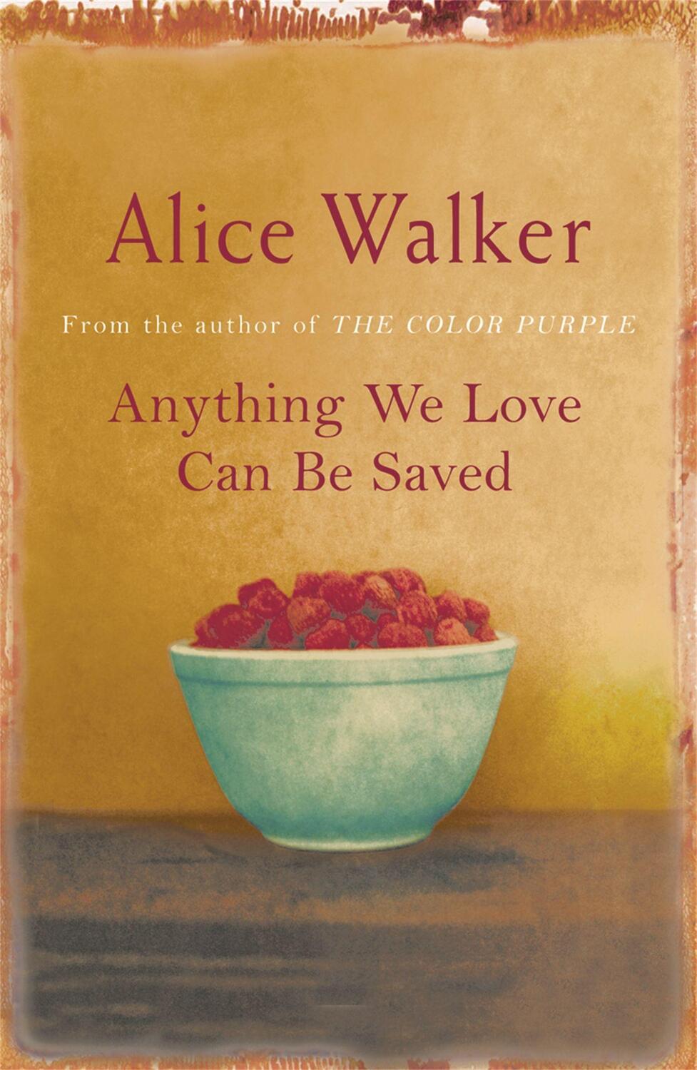 Cover: 9780753819548 | Anything We Love Can Be Saved | Alice Walker | Taschenbuch | Englisch