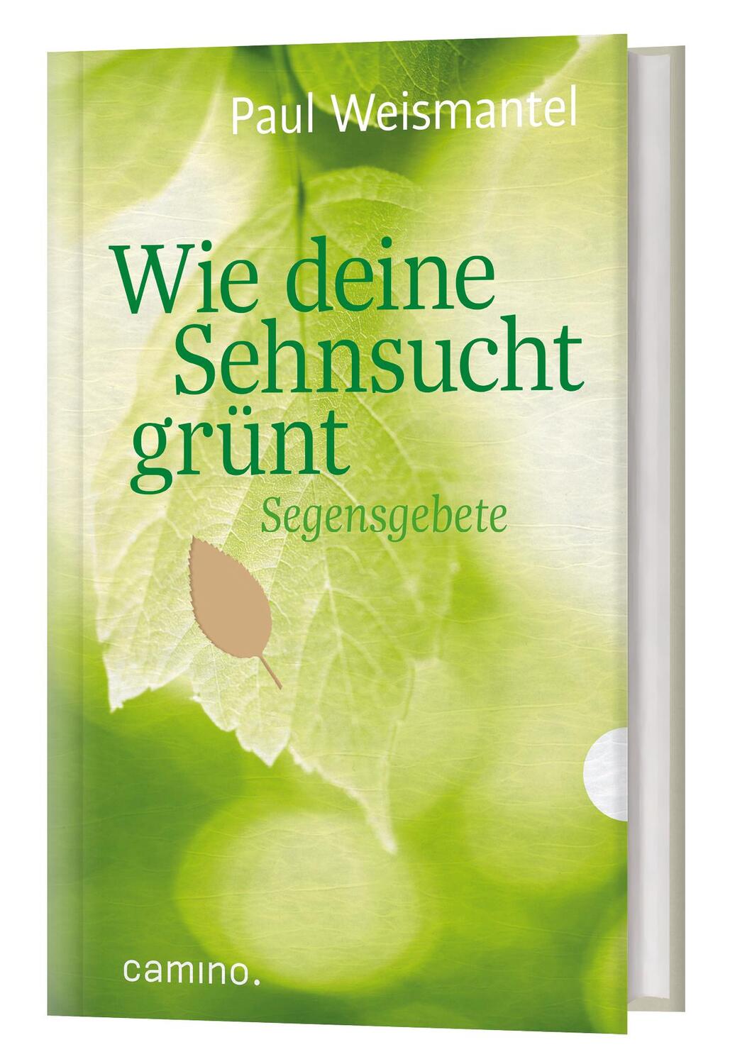 Cover: 9783961571154 | Wie deine Sehnsucht grünt | Segensgebete | Paul Weismantel | Buch