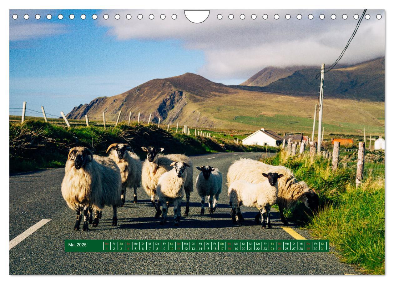 Bild: 9783383995385 | Wir sehen uns in Irland - Ring of Beara und Ring of Kerry...