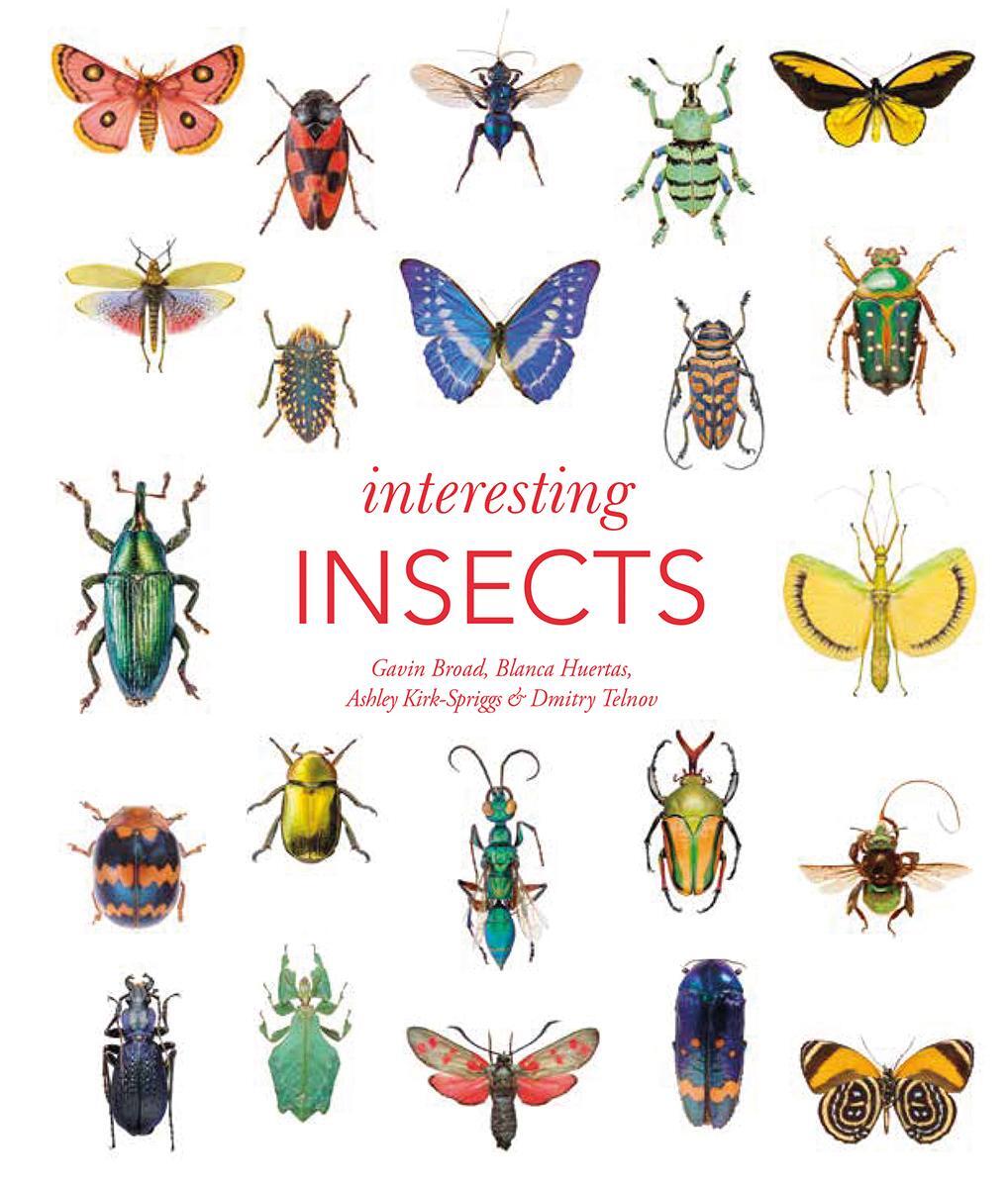 Cover: 9780565095031 | Interesting Insects | Ashley Kirk-Spriggs (u. a.) | Buch | Gebunden