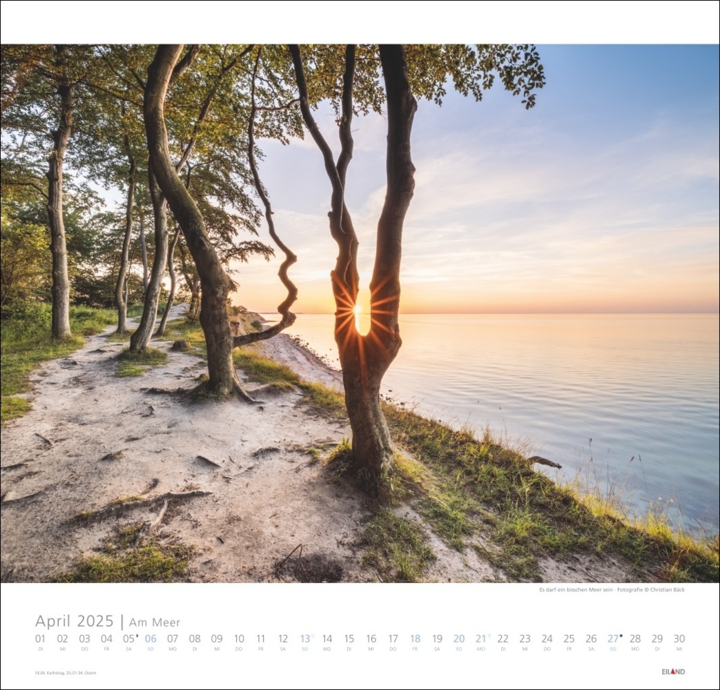 Bild: 9783964023094 | Am Meer Edition Kalender 2025 - Sand, Wind und Wellen | Kalender